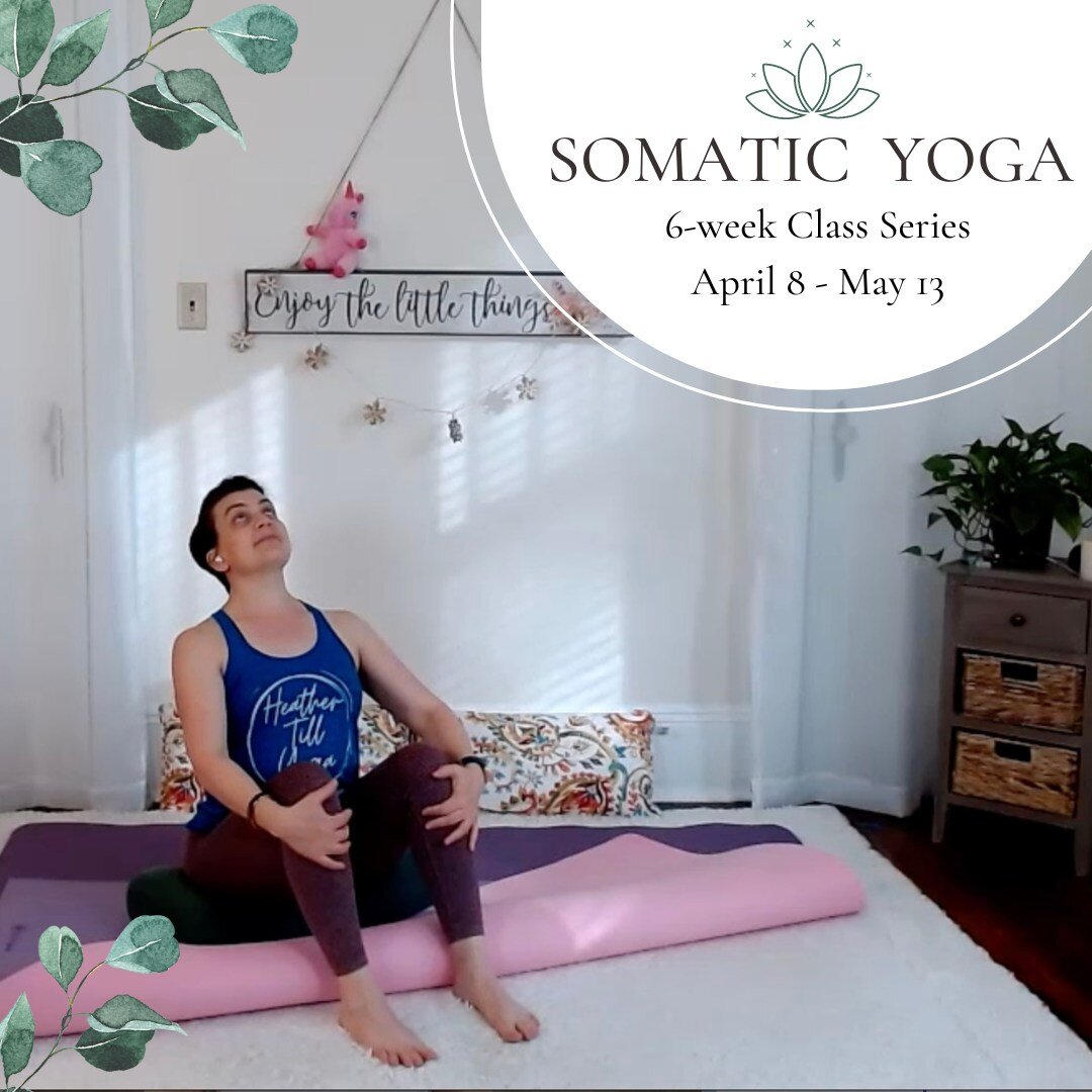 Join me for our Spring Gentle Somatic Yoga class series! 
We meet via zoom and there's a 7-day replay so if you can't make it live, you can enjoy the recording later. Registration link is in the bio 😍

Gentle Somatic Yoga (GSY) is a unique &ldquo;ar