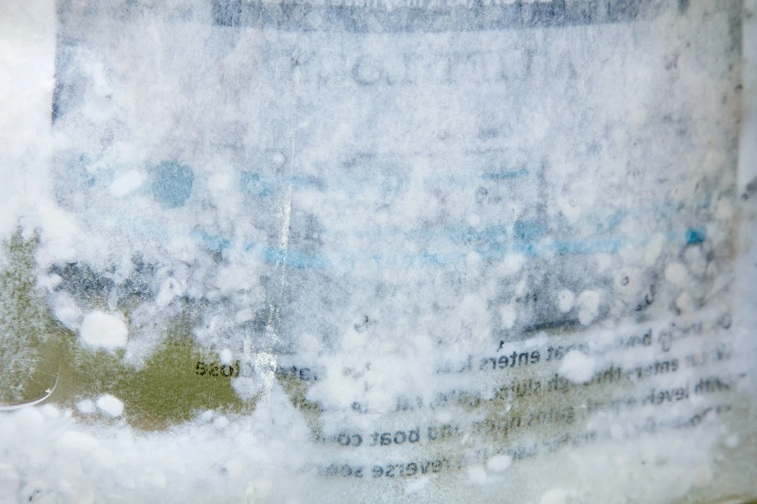 2Y2A0990.jpg