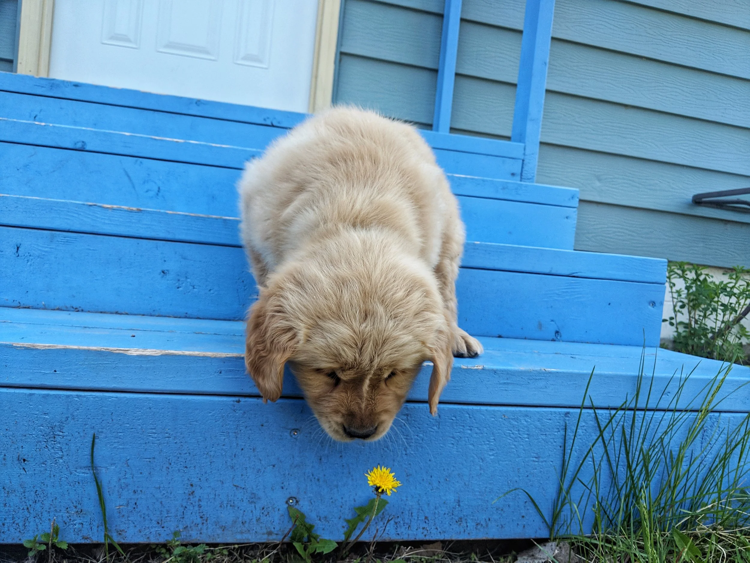Rosie and Marcus Boy - March 26th 2019