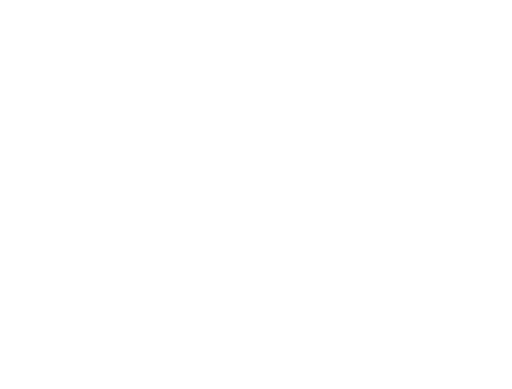 Brooklyn Rogues