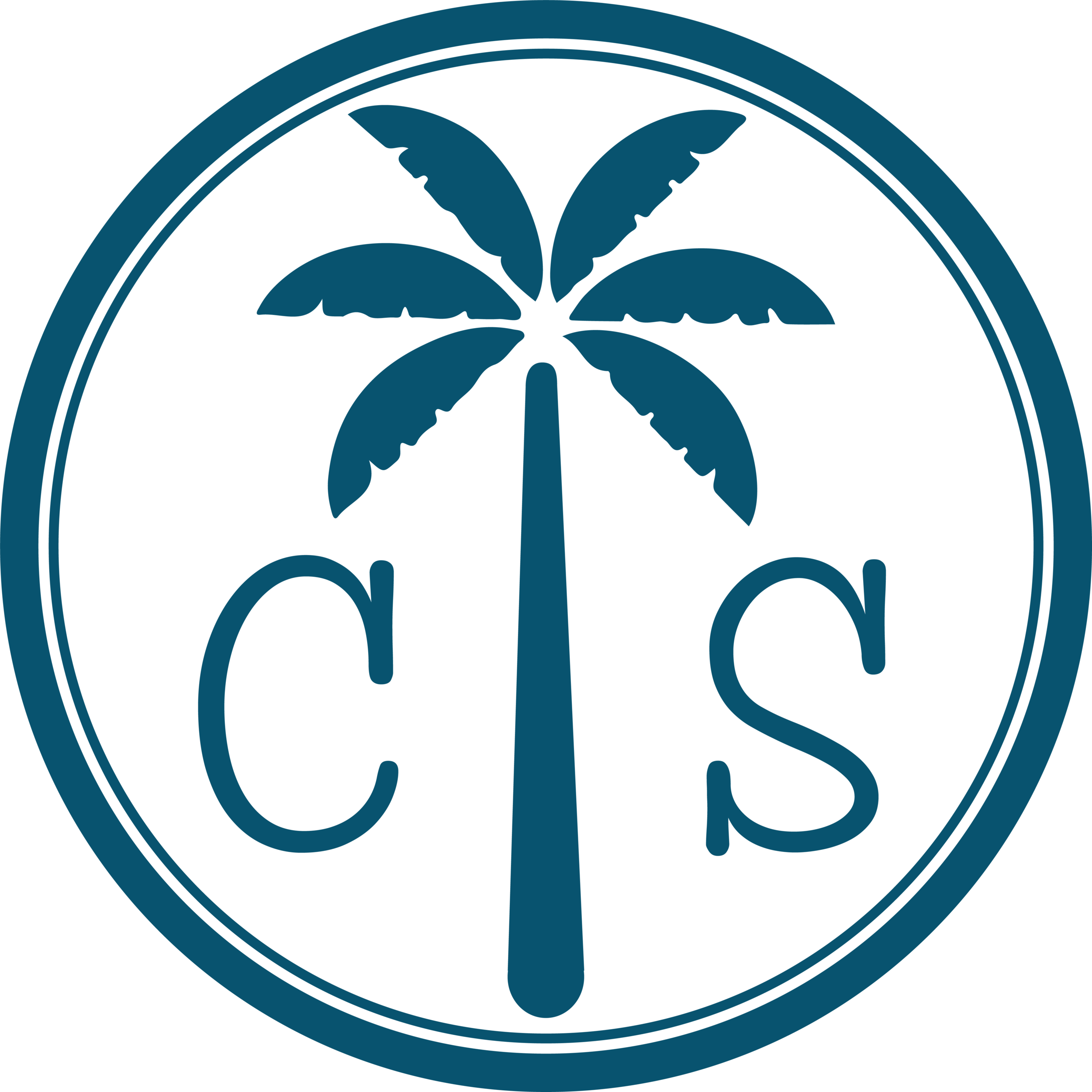 CS Circle Logo Blue.png