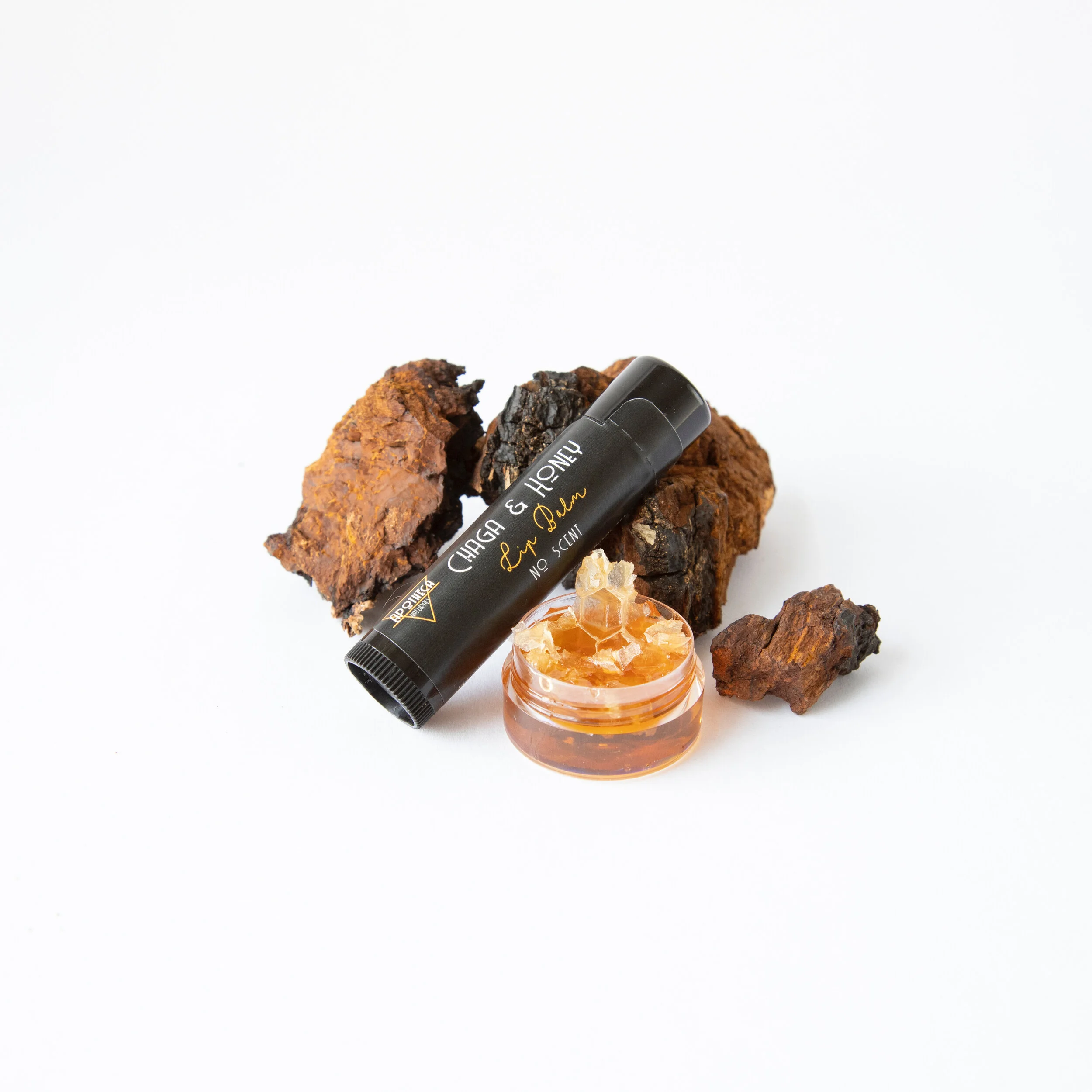 Chaga + Honey Lip Balm