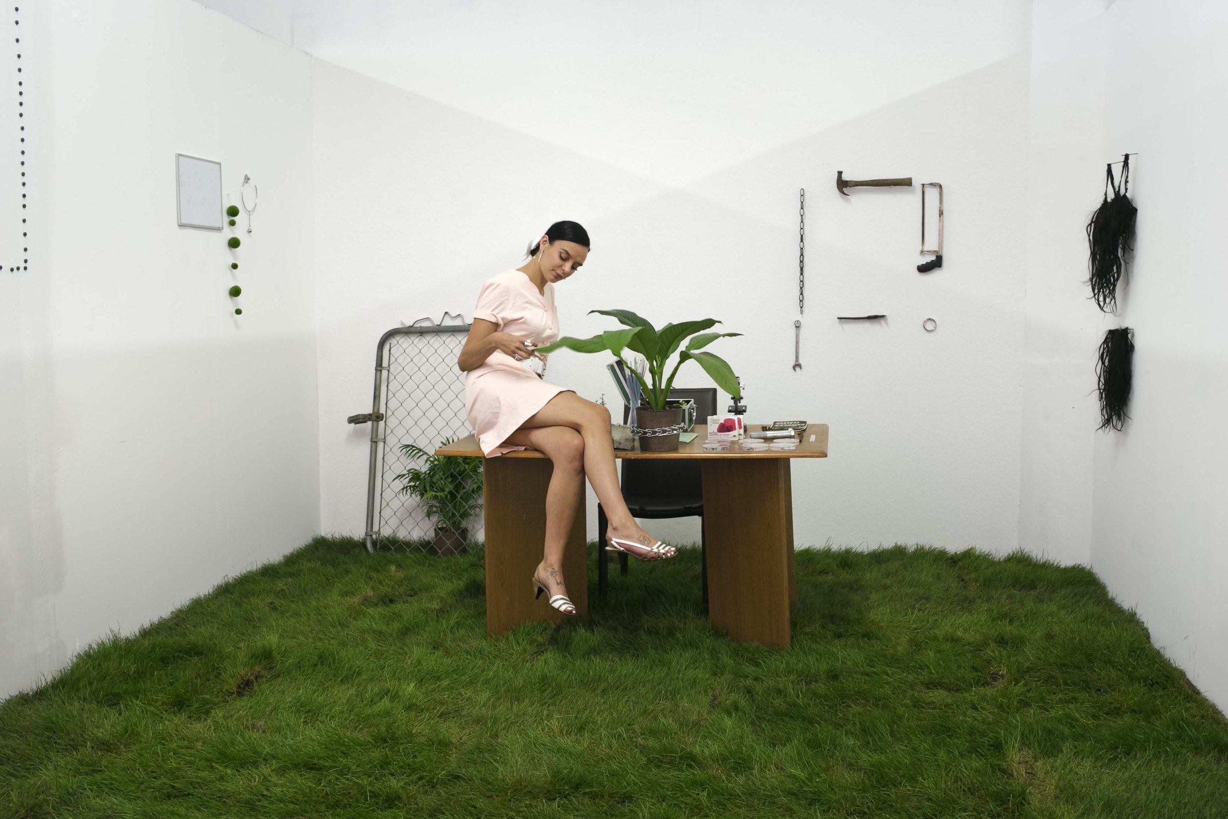 Grasstopia
