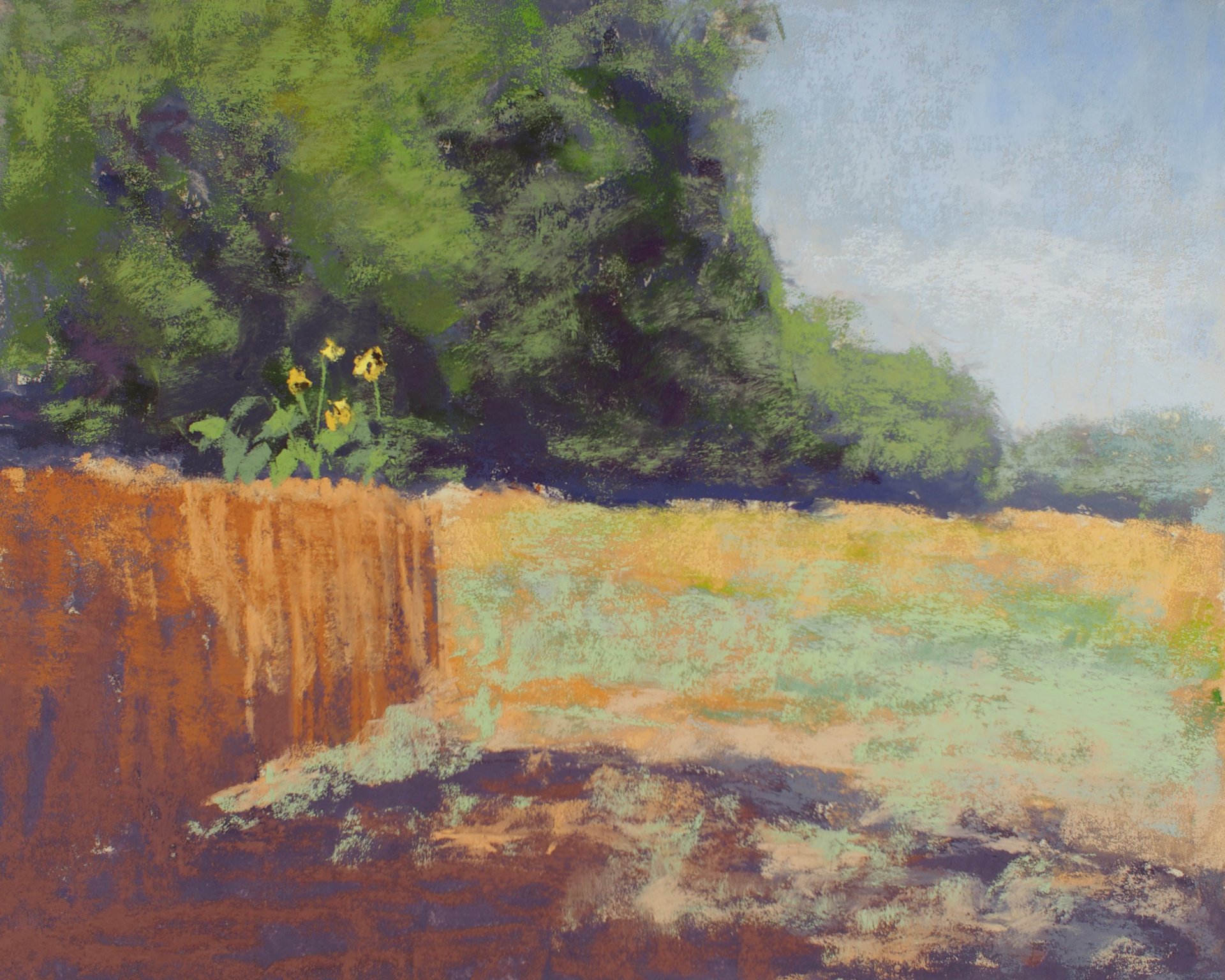 Beyond the Fence by Marcie Cohen, Pastel, 8x10, $950
