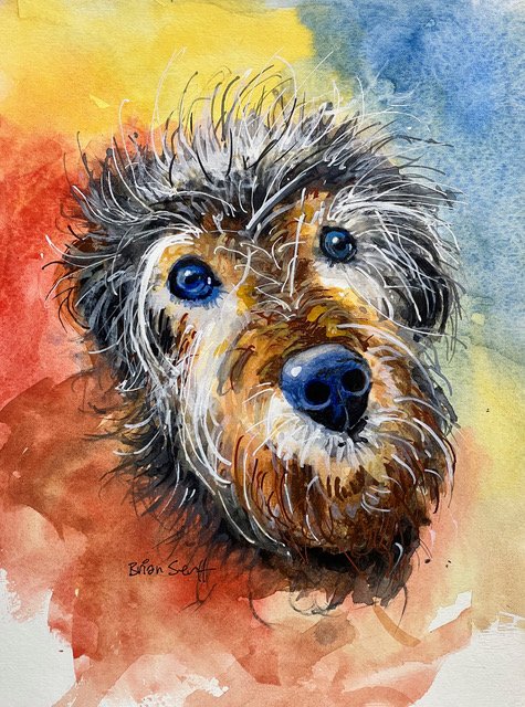 Shaggy Dog by Brian Serff, Watercolor, 10x14, $200