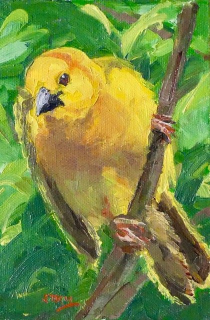 Seriously Curious by Karen Storm, Oil, 6x4, $320