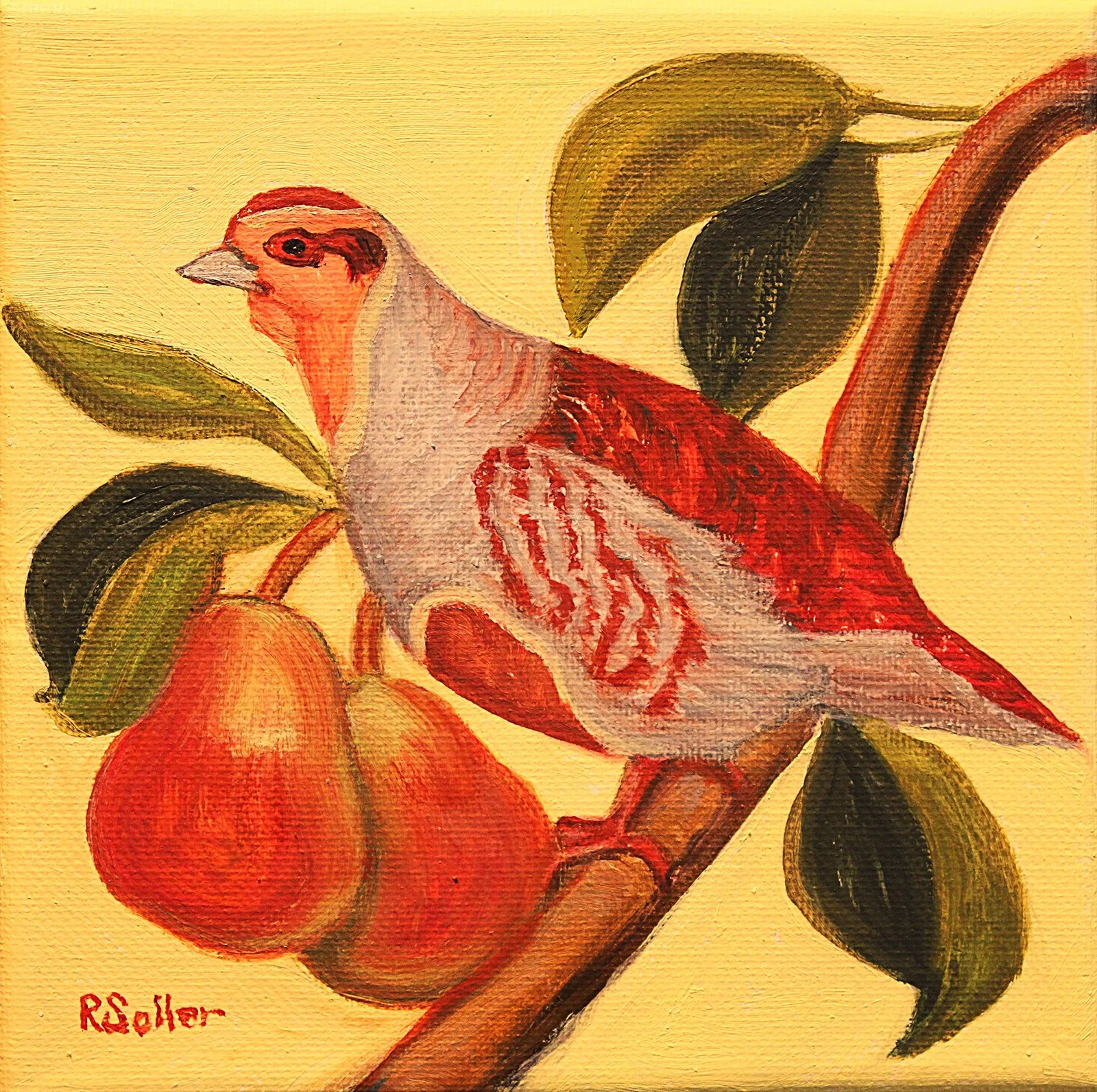 Partridge in a Pear Tree by Ruth Soller, Oil, 6x6, $190