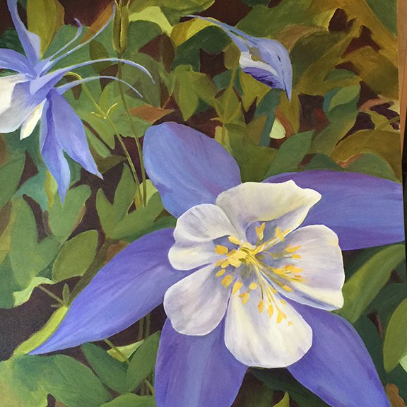 Colorado Columbine by Marjory Wilson, Acrylic, 36x36, $2400