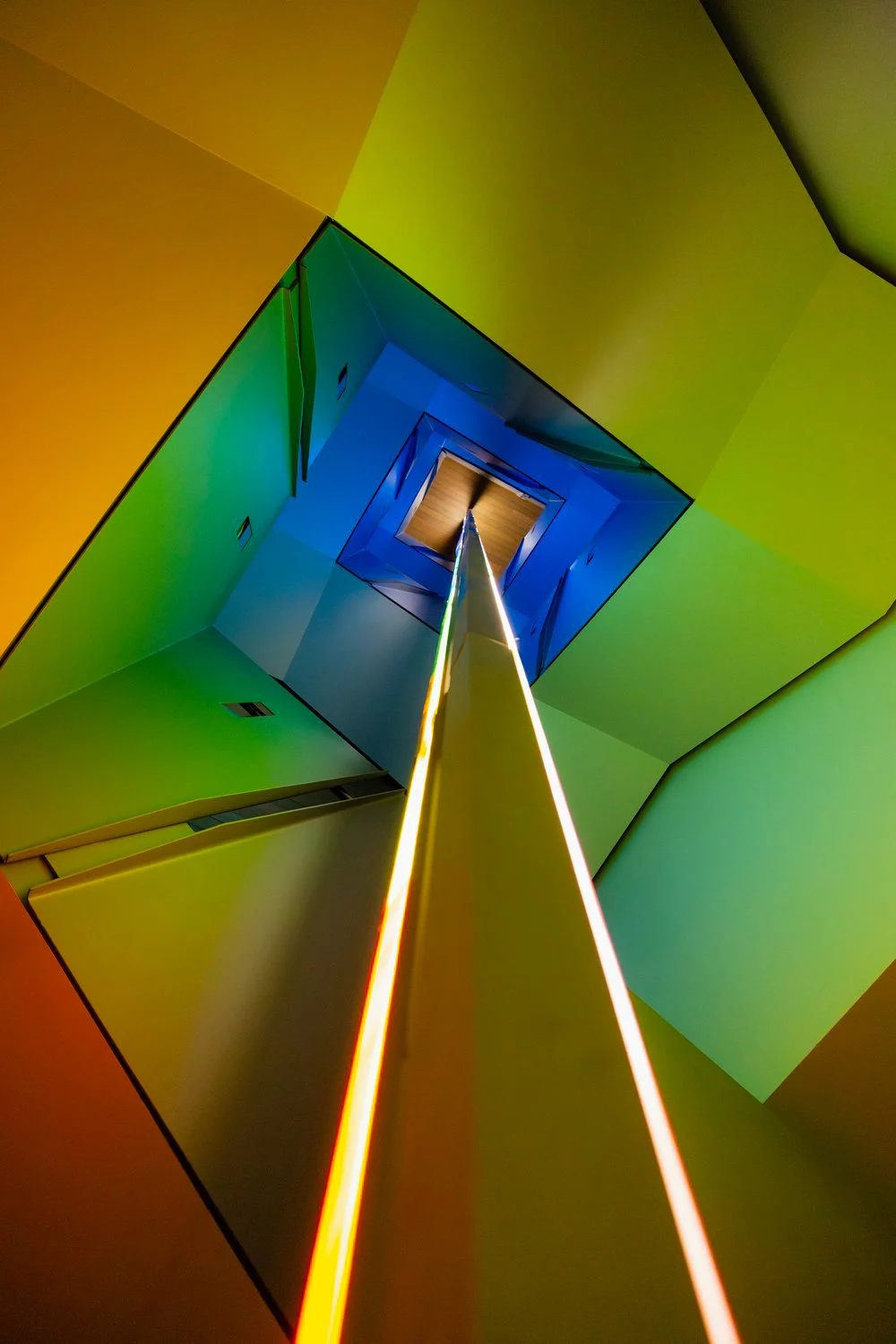 Looking Up.jpg