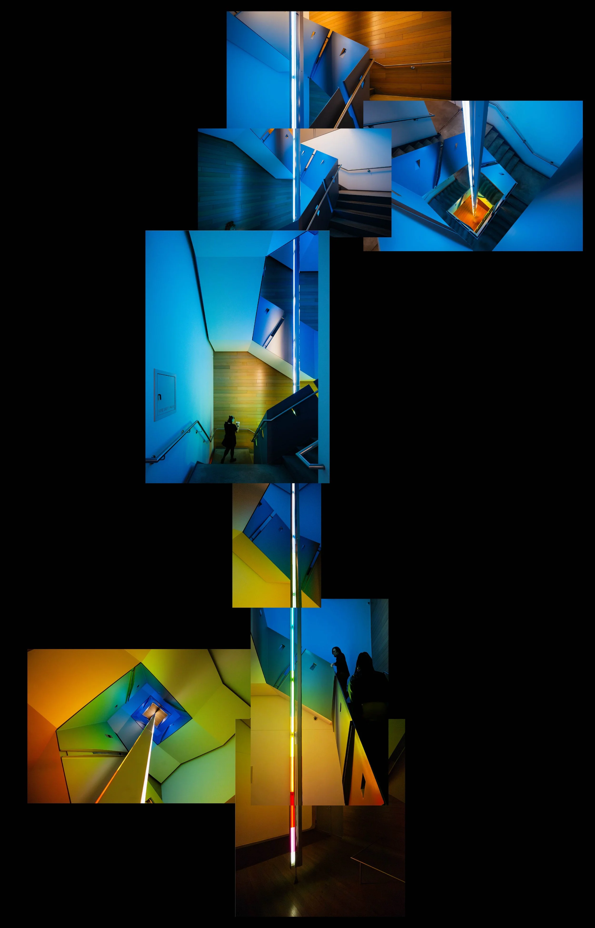 Vertical Collage.jpg