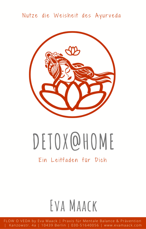 E-Book Cover Detox.png