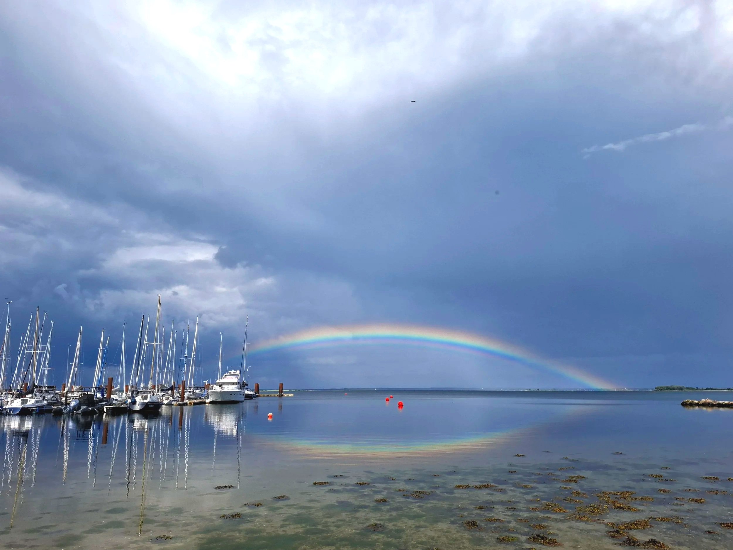 Copyright  Teena Leitow