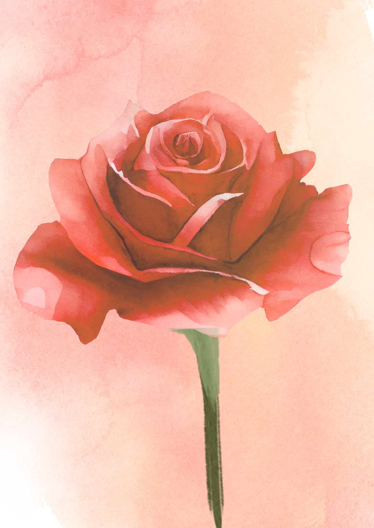 Ayurveda und Immunsystem.png