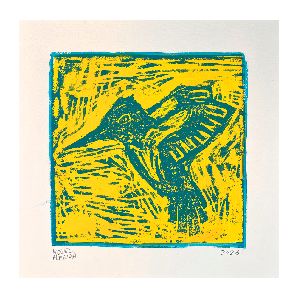 humming bird print.png