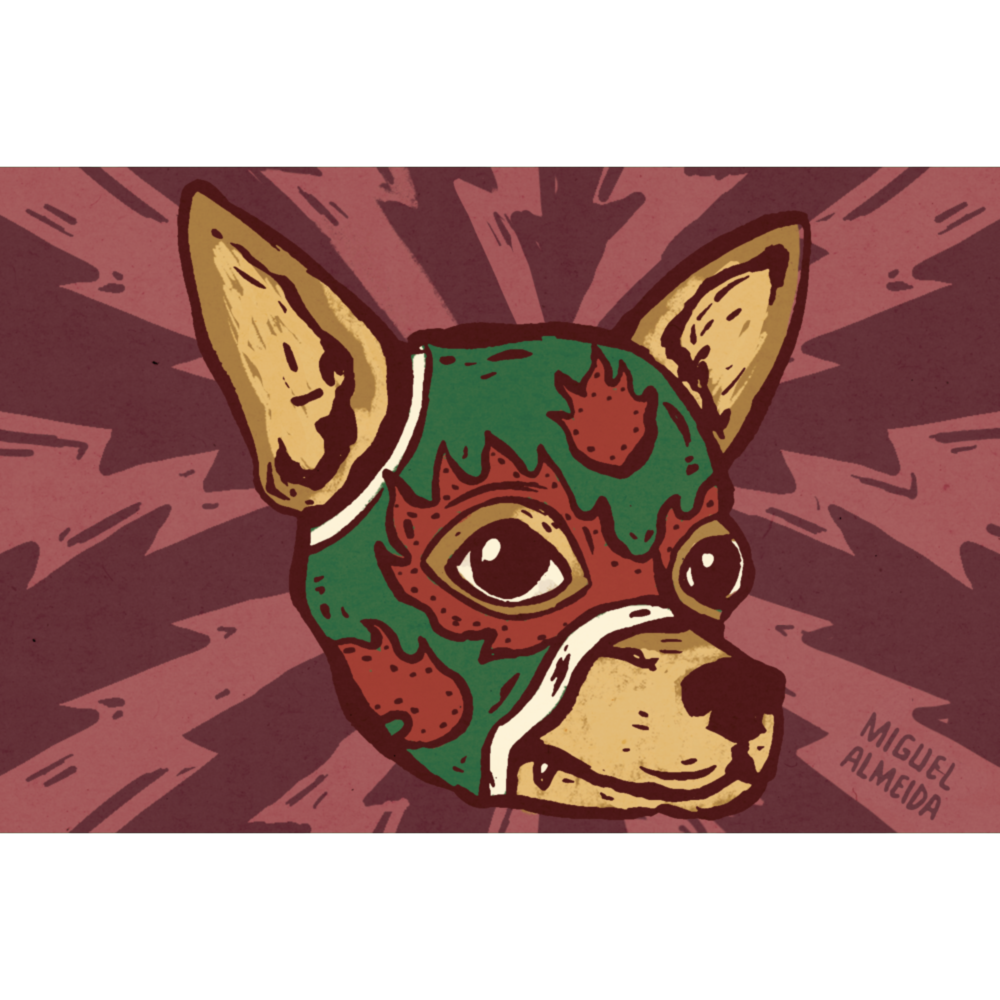 IMG_3482.PNG