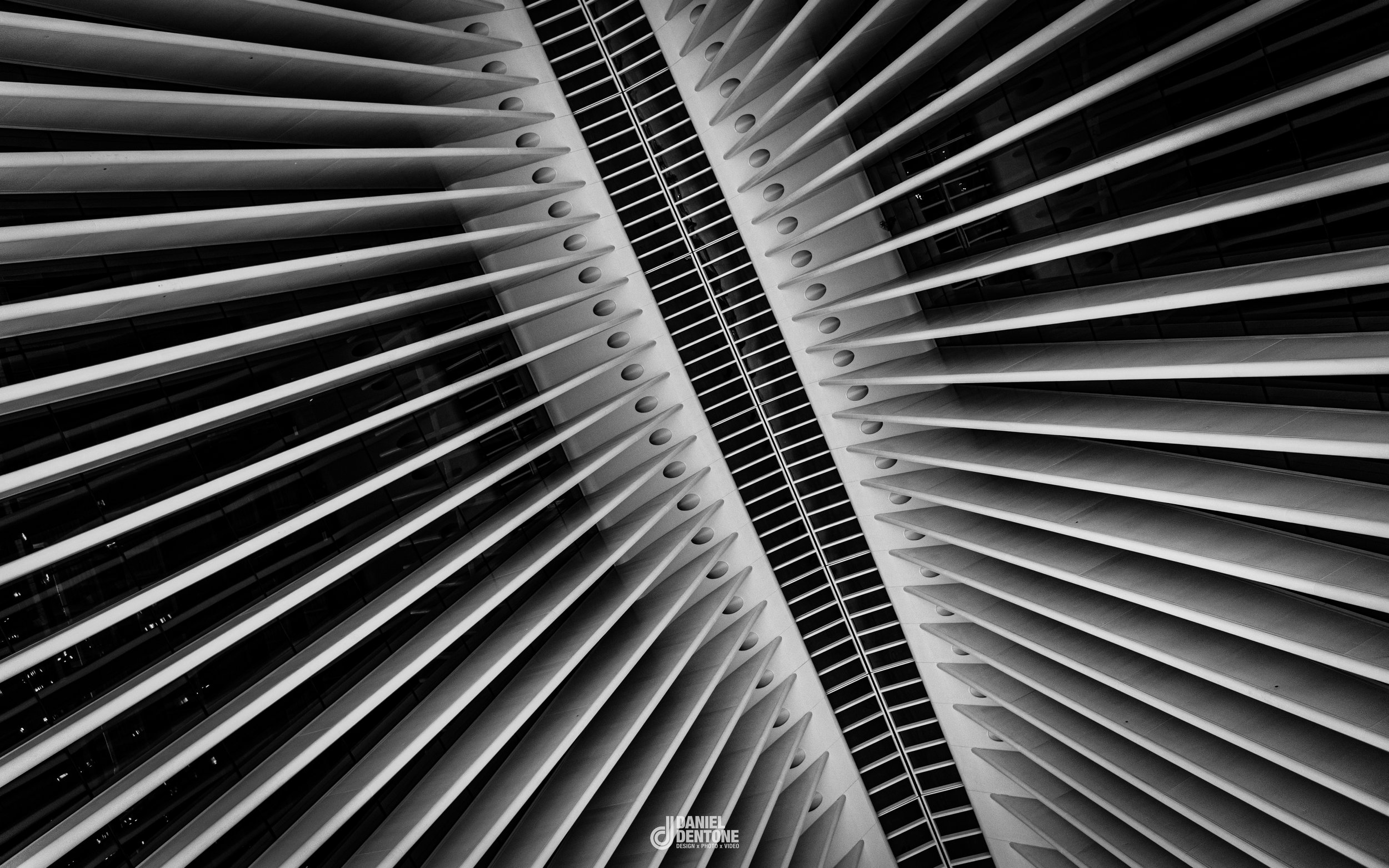 DSC_1581.jpeg
