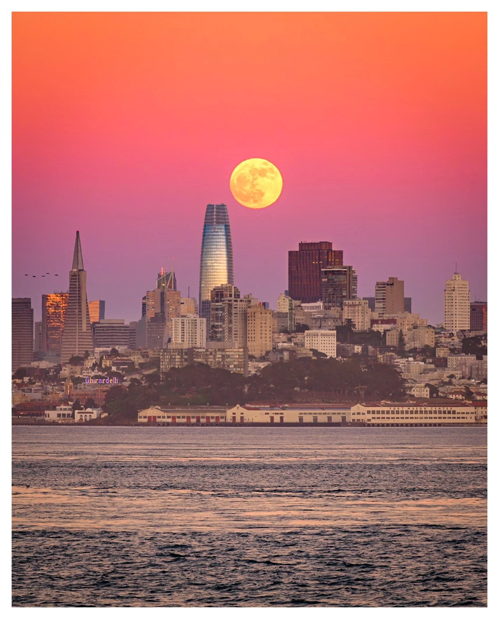 Strawberry Full Moon