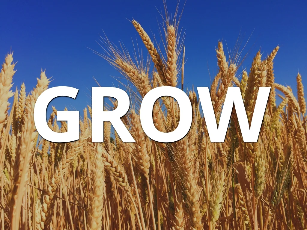 How Will You Grow This Fall?