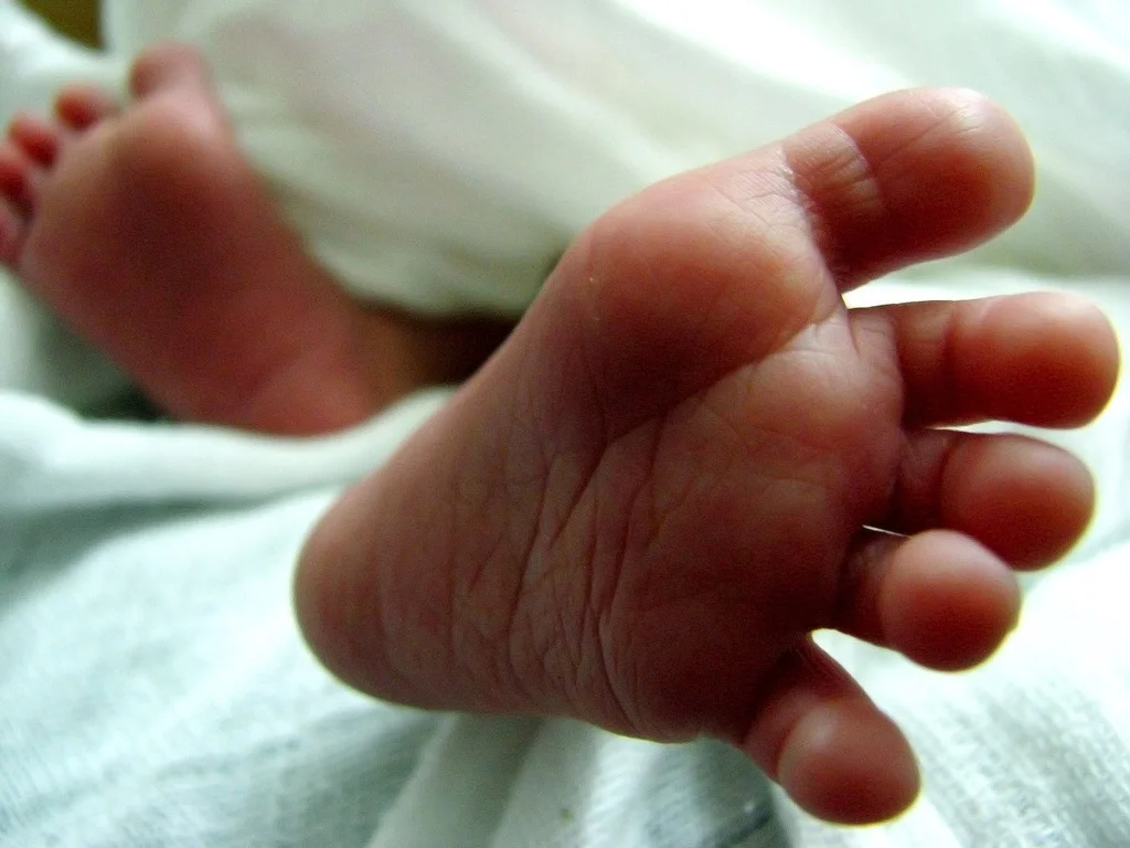 Celebrating New Life Community Baby Shower & Donation Drive