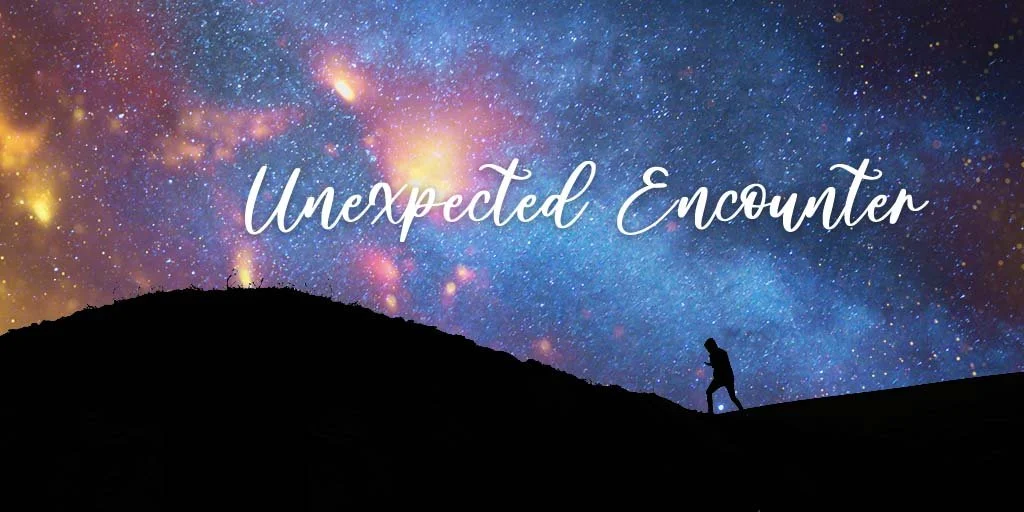Unexpected Encounter