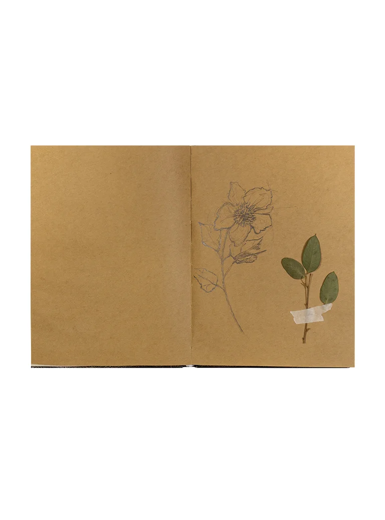 FWSB Botanical Page.jpg