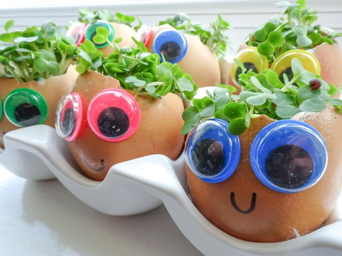 Creative Spring STEAM Activities