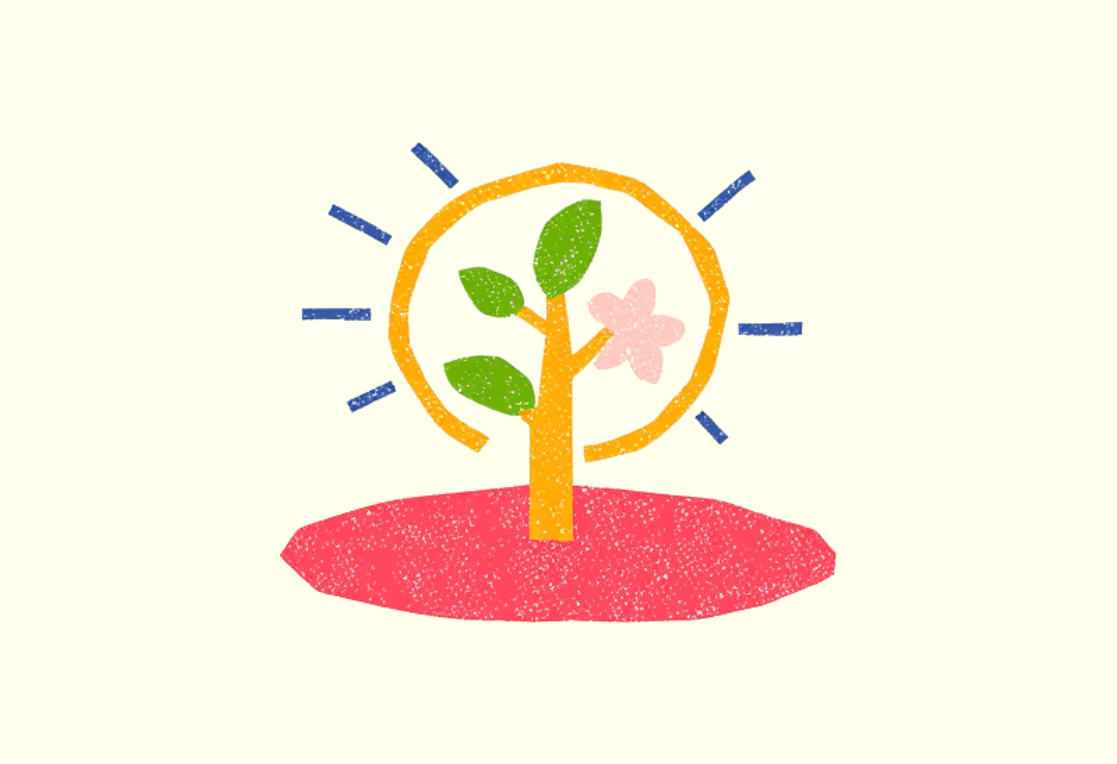 Beyond the Buzzword: What Does Photosynthesis Really Mean?