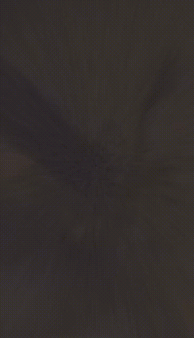 THE - FALL - AD - 09.09.24 (1).gif