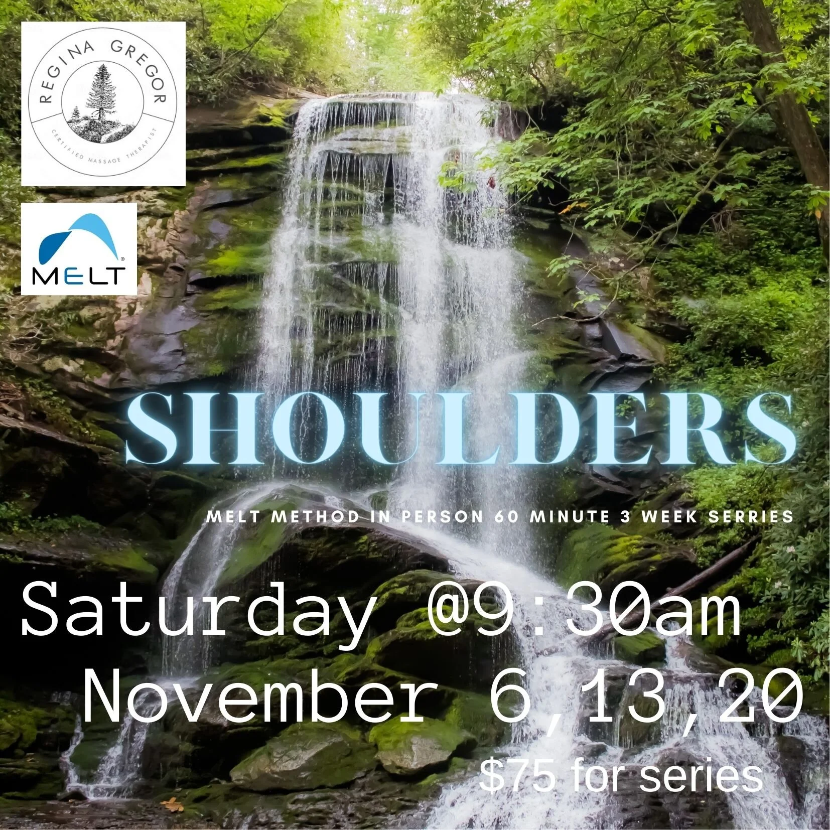 workshop ~ shoulders