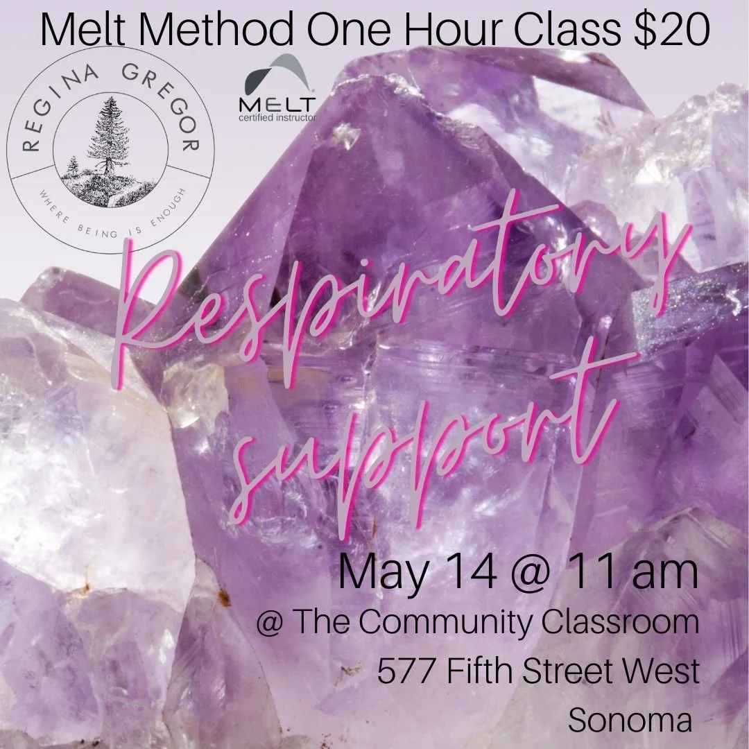 Melt Workshop ~ Respiratory Support