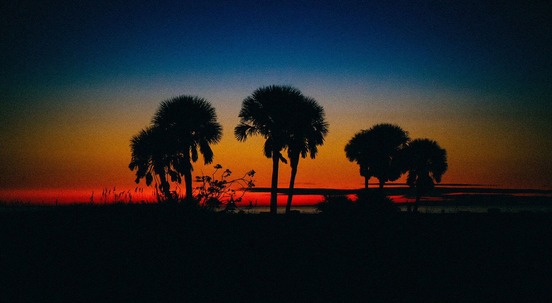 The first thing that stood out to me was the exceptional combination of both breathtaking sunsets and coastal wildlife.