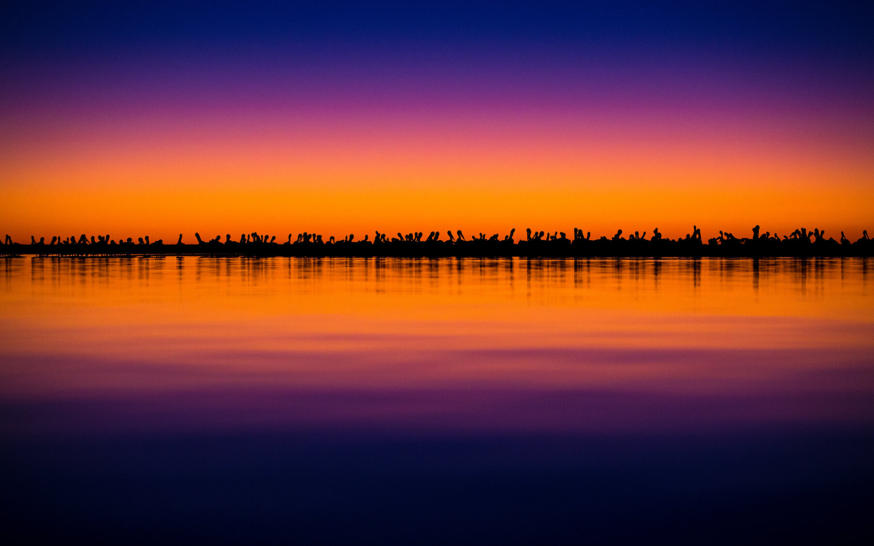 Fort DeSoto-110 WEB.jpg