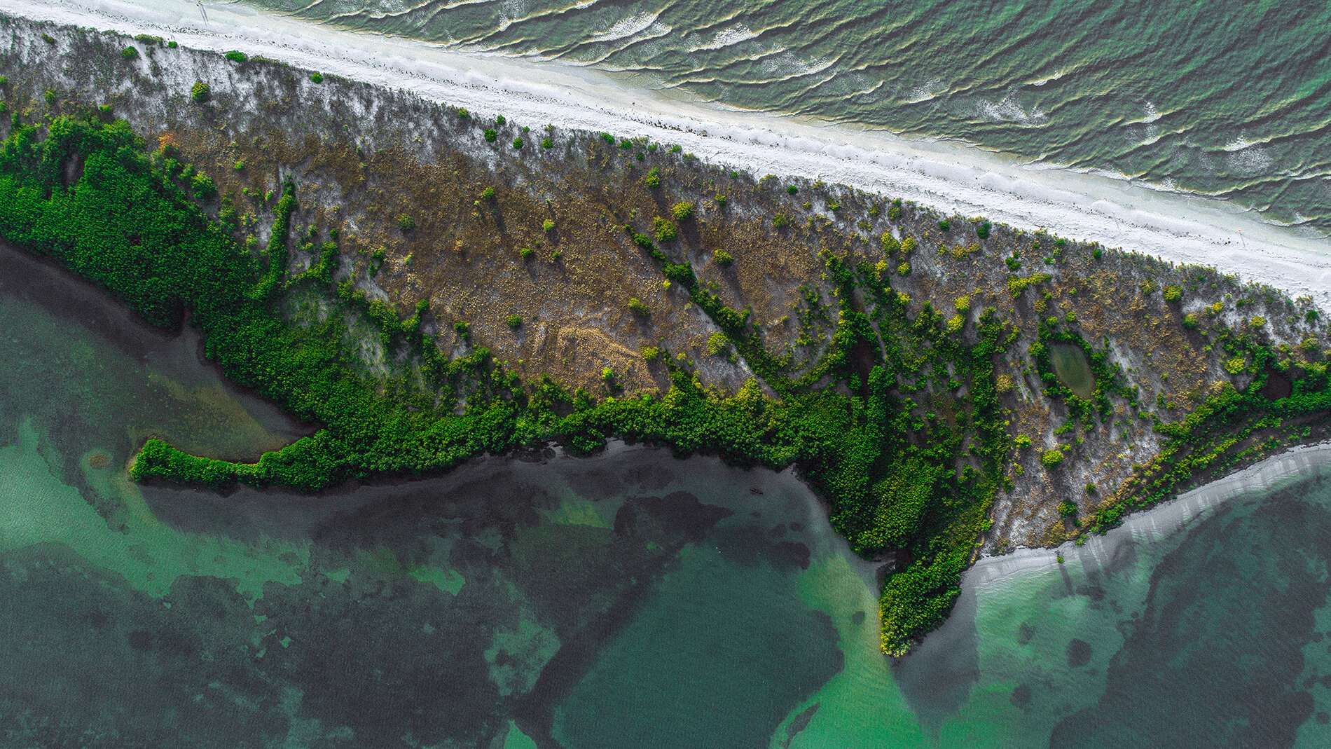 Honeymoon Island Three DRONE-10 WEB.jpg