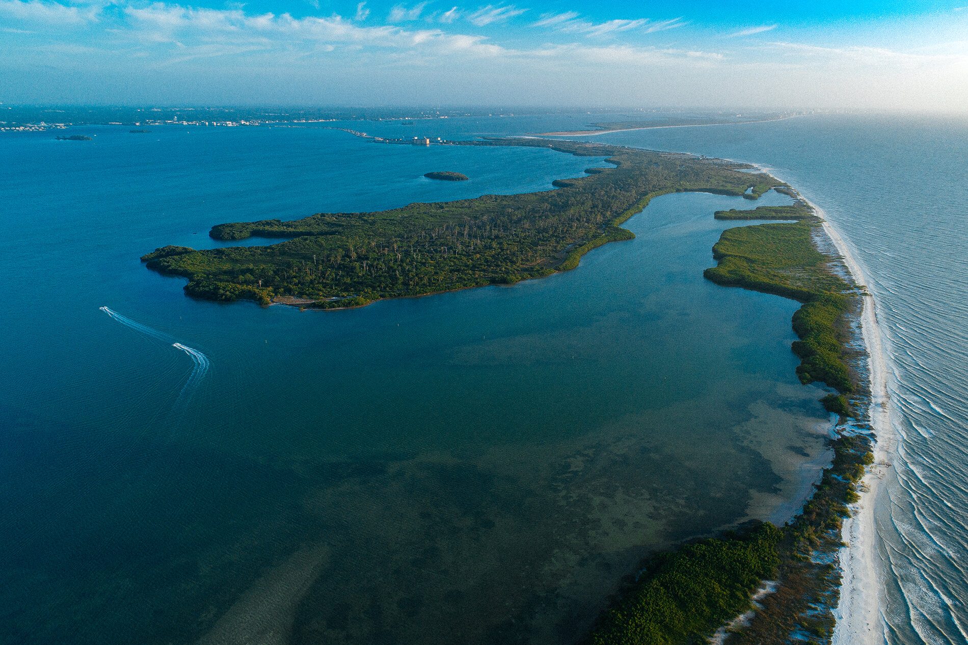 Lagoons turn into dense swamps and forests; with their own unique wildlife.