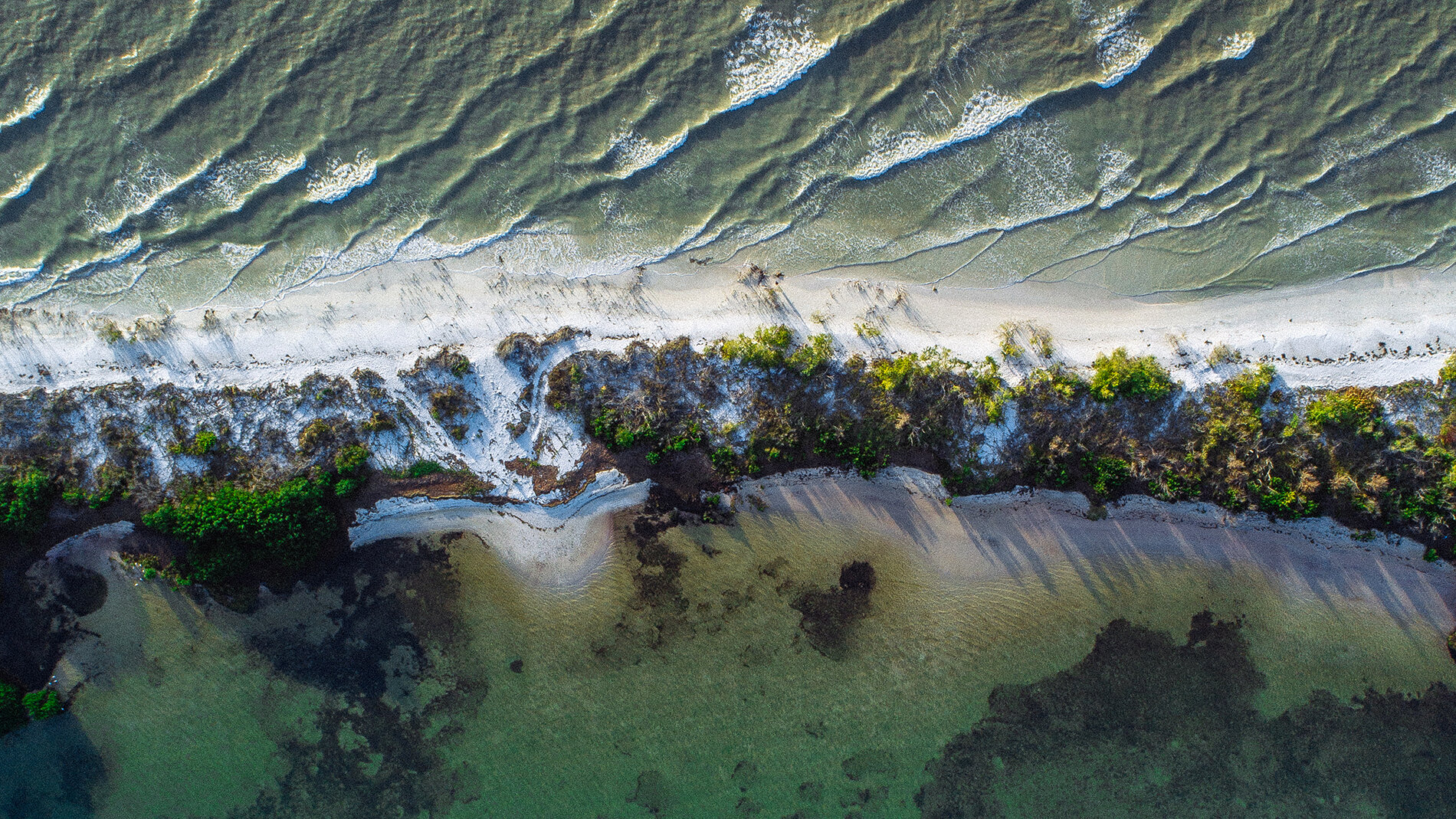 Honeymoon Island Three DRONE-2 WEB.jpg