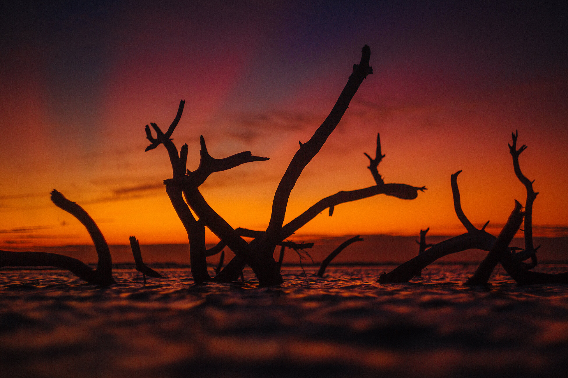 Honeymoon Island First-179 WEB.jpg