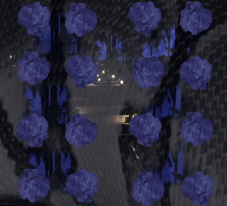 屏幕快照 2018-12-09 上午11.36.11.png