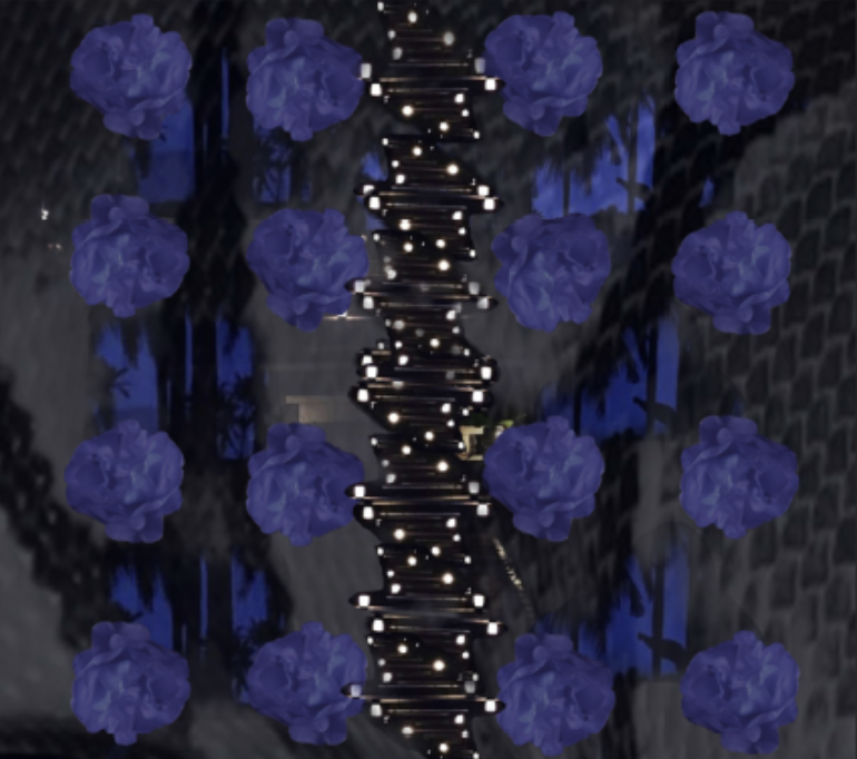 屏幕快照 2018-12-09 上午11.36.19.png