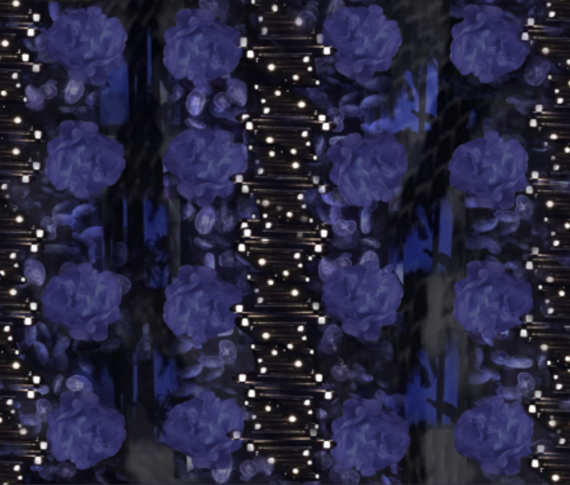 屏幕快照 2018-12-09 上午11.36.33.png