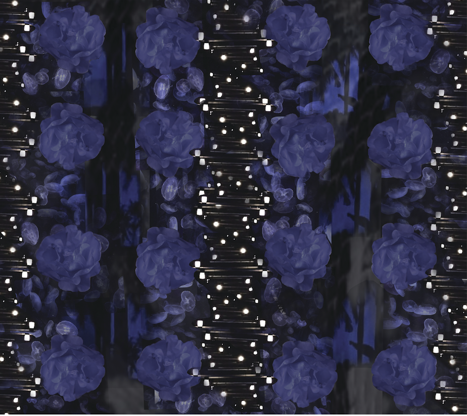 屏幕快照 2018-12-09 上午10.50.35.png