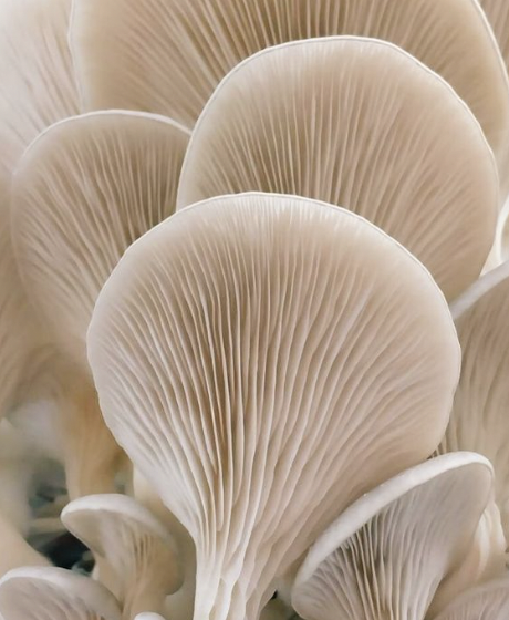 屏幕快照 2020-02-27 下午12.09.45.png