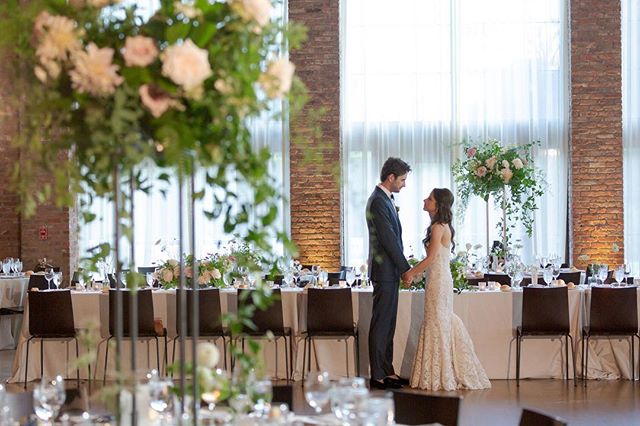 Basking in the glow of love (+ our uplights).
.
Photo: @dideofilmsphotography
Venue: @roundhousebeacon
Florals: @dark_and_diamond
.
#lnjwedding #lnjweddings #uplights #weddinglighting #weddingreception #weddingdesign #roundhousebeacon #roundhousewedd