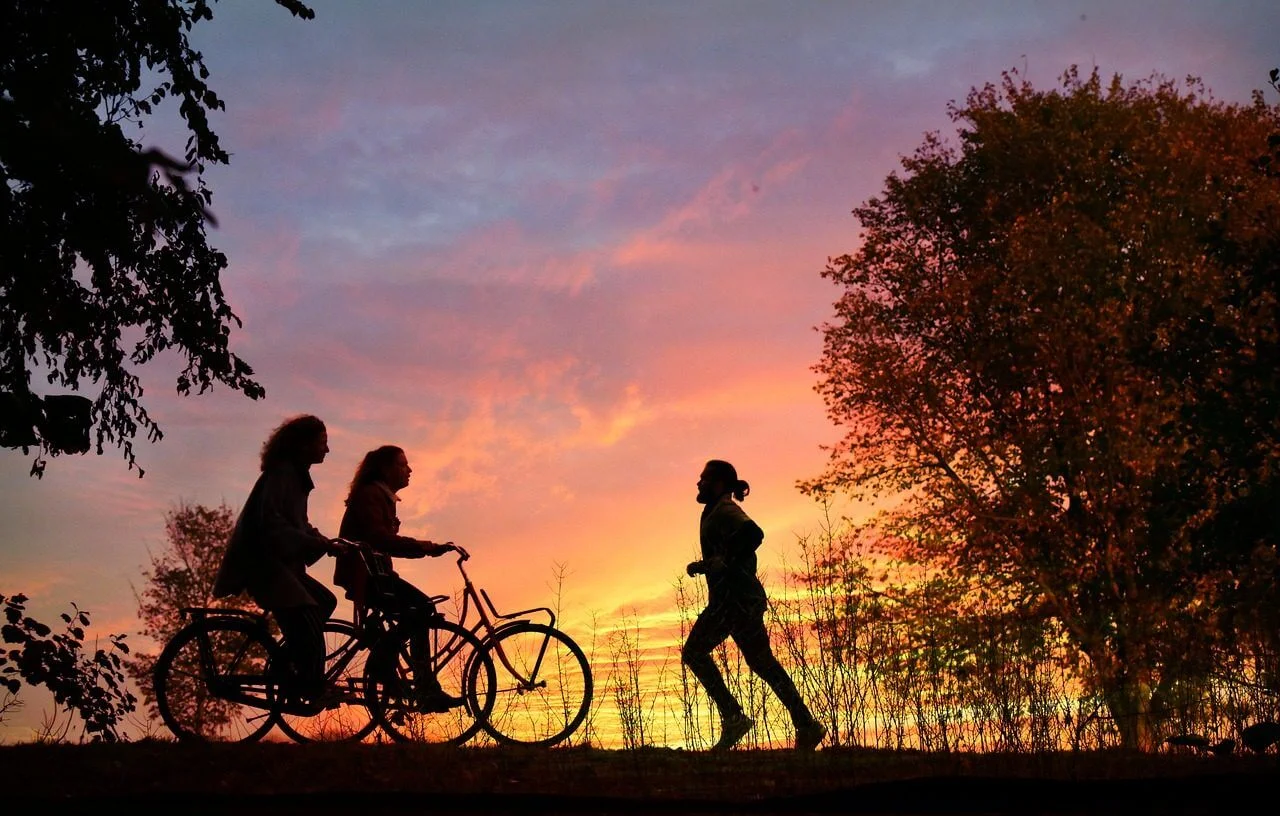cyclist-3890541_1280.jpg