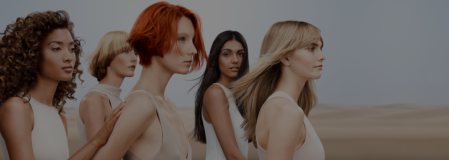 loobook_header_d.png