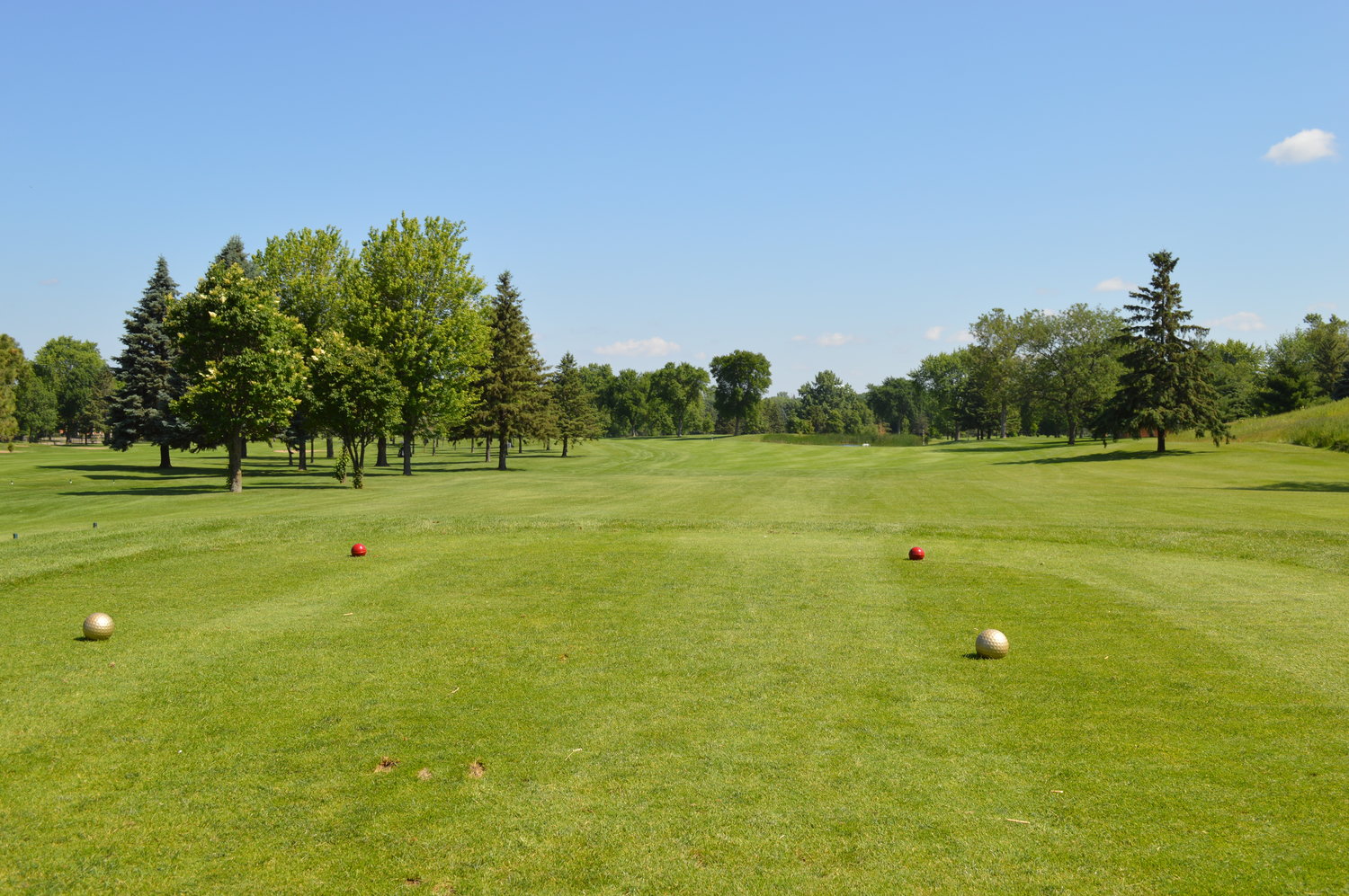 Wednesday Night Fall League — Goodrich Golf Course in Maplewood Minnesota