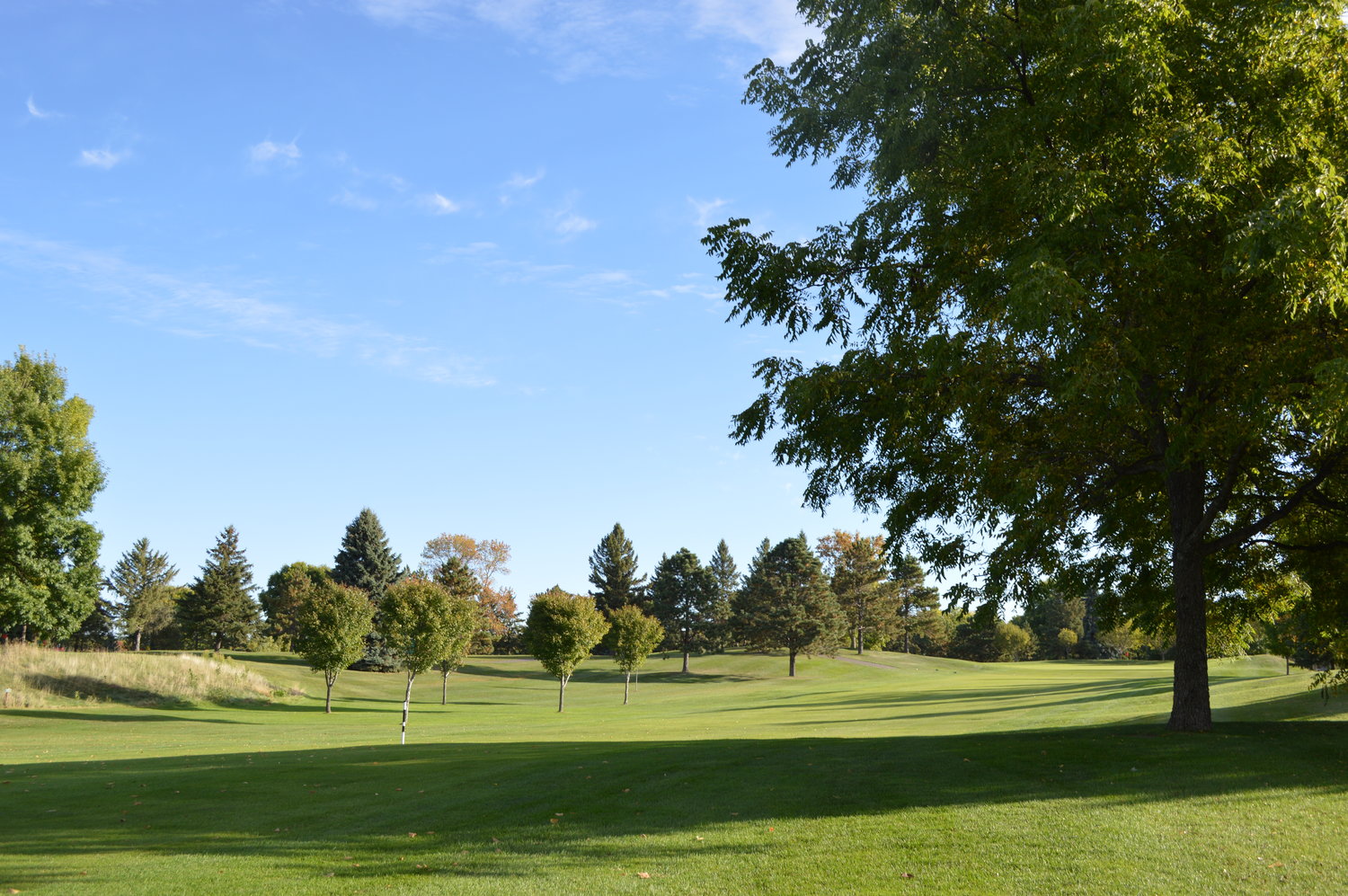 Wednesday Night Fall League — Goodrich Golf Course in Maplewood Minnesota