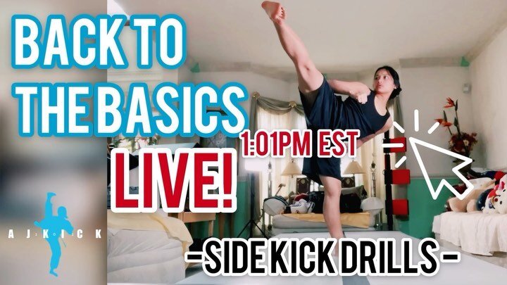 Yesterday&rsquo;s first #BacktotheBasics LIVESTREAM :)

Hope to have more people hopping on and kicking it with me today :) 

Swipe to see today&rsquo;s LIVE! Kicker&rsquo;s workout out 👍🏼 and subscribe to get notified!
⠀⠀⠀⠀
www.youtube.com/Ajkick1