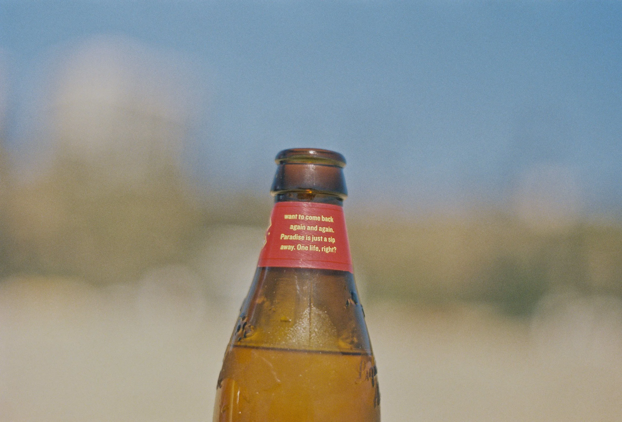 Beer Bottle advice31.JPG