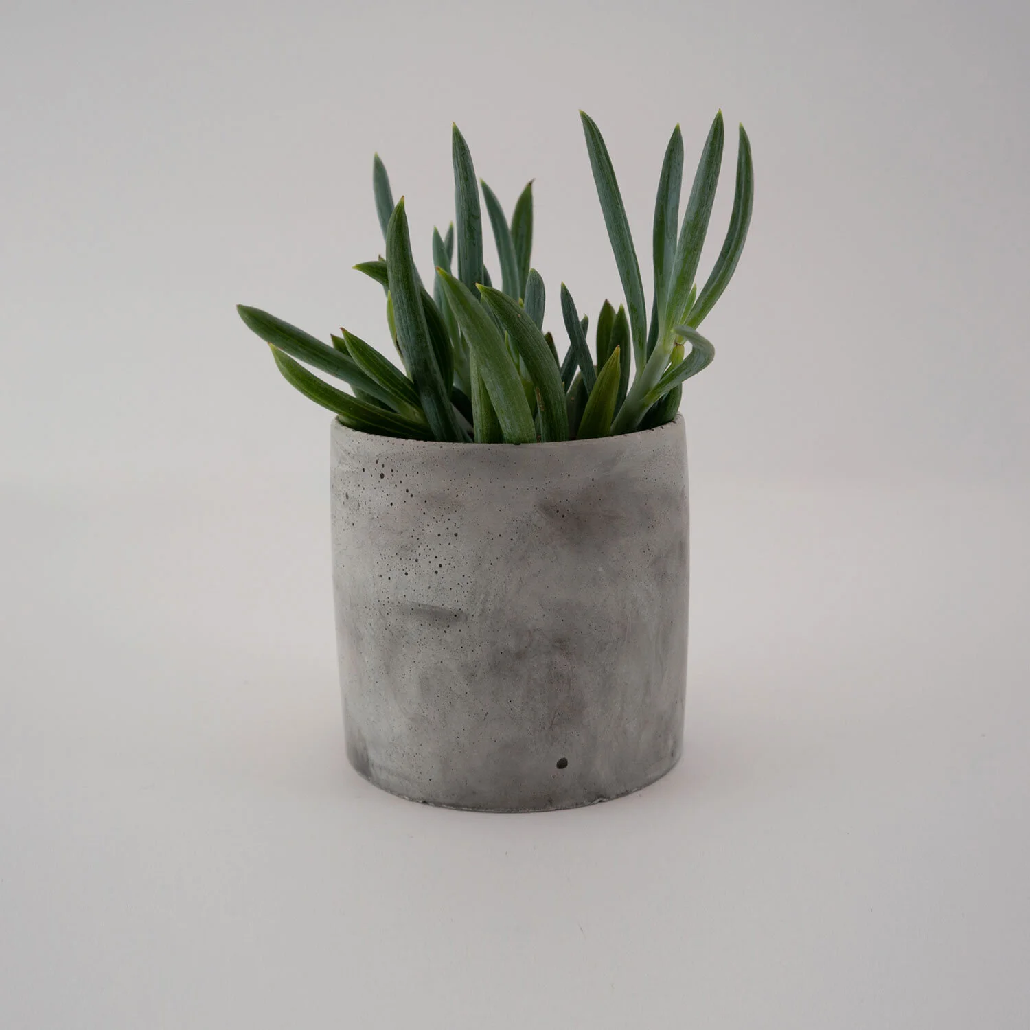mediumplanter-grey5.jpg