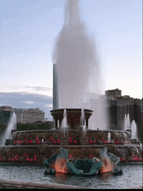 013.gif